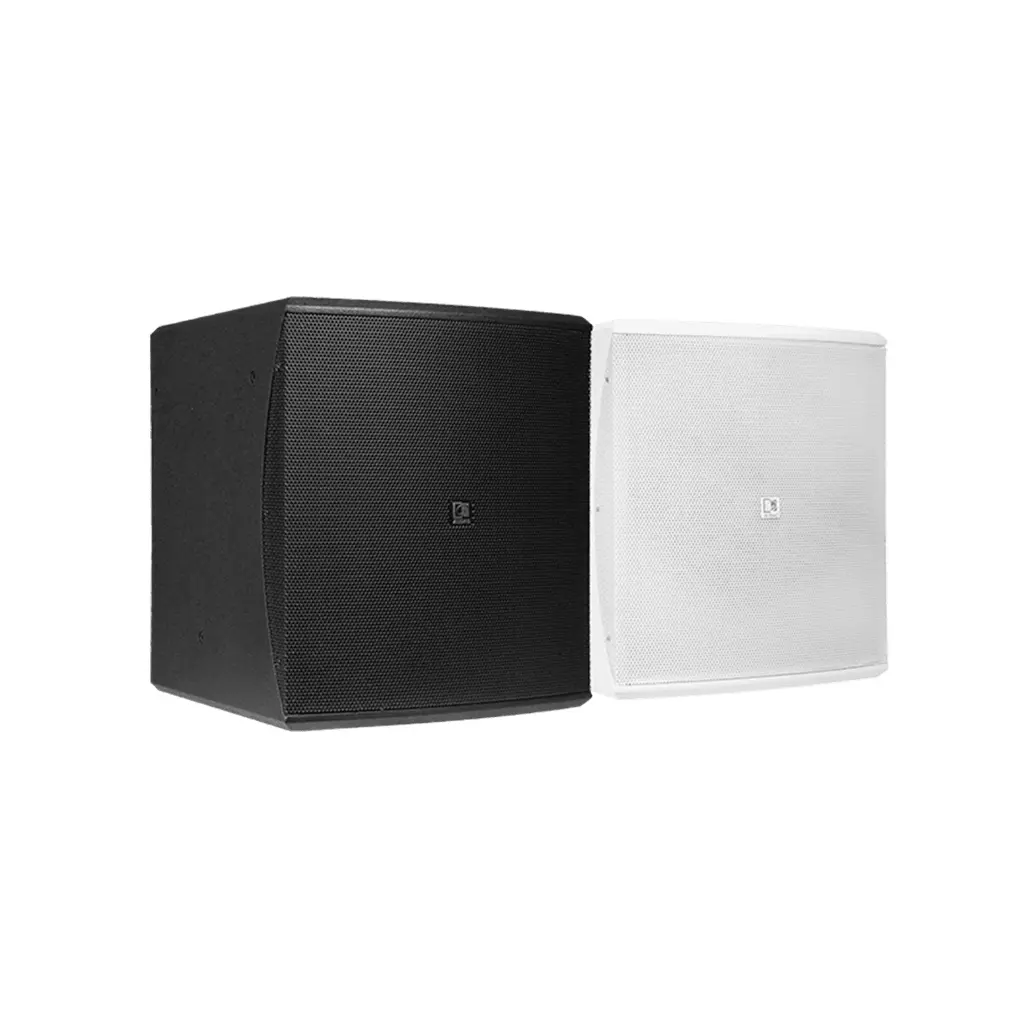 AUDAC BASO10 ลำโพงพาสซีฟ ซับวูฟเฟอร์ขนาด 10 นิ้ว 900 วัตต์