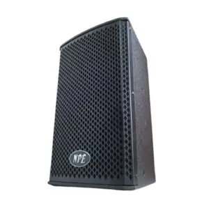 NPE PRO-8 ลำโพง ขนาด 8 นิ้ว พาสซีฟ 2 ทาง 800 วัตต์