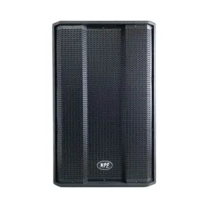 NPE TS-15 ลำโพง ขนาด 15 นิ้ว พาสซีฟ 2 ทาง 1200 วัตต์